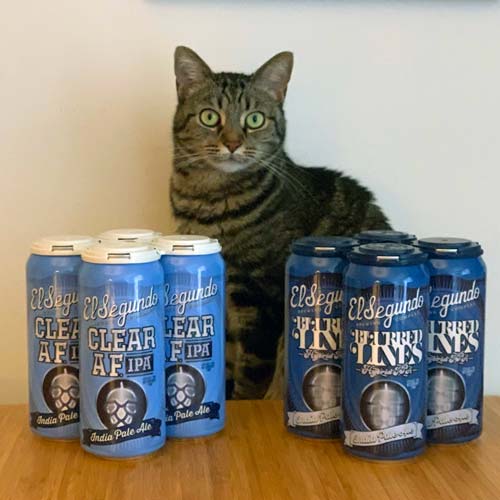 4-pack cans of both Clear AF IPA and Blurred Lines Hybrid IPA with a cat